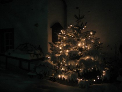 Foto: Landlust